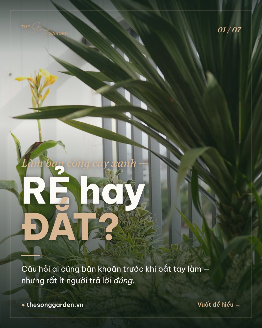 Làm ban công cây xanh: Rẻ hay Đắt?