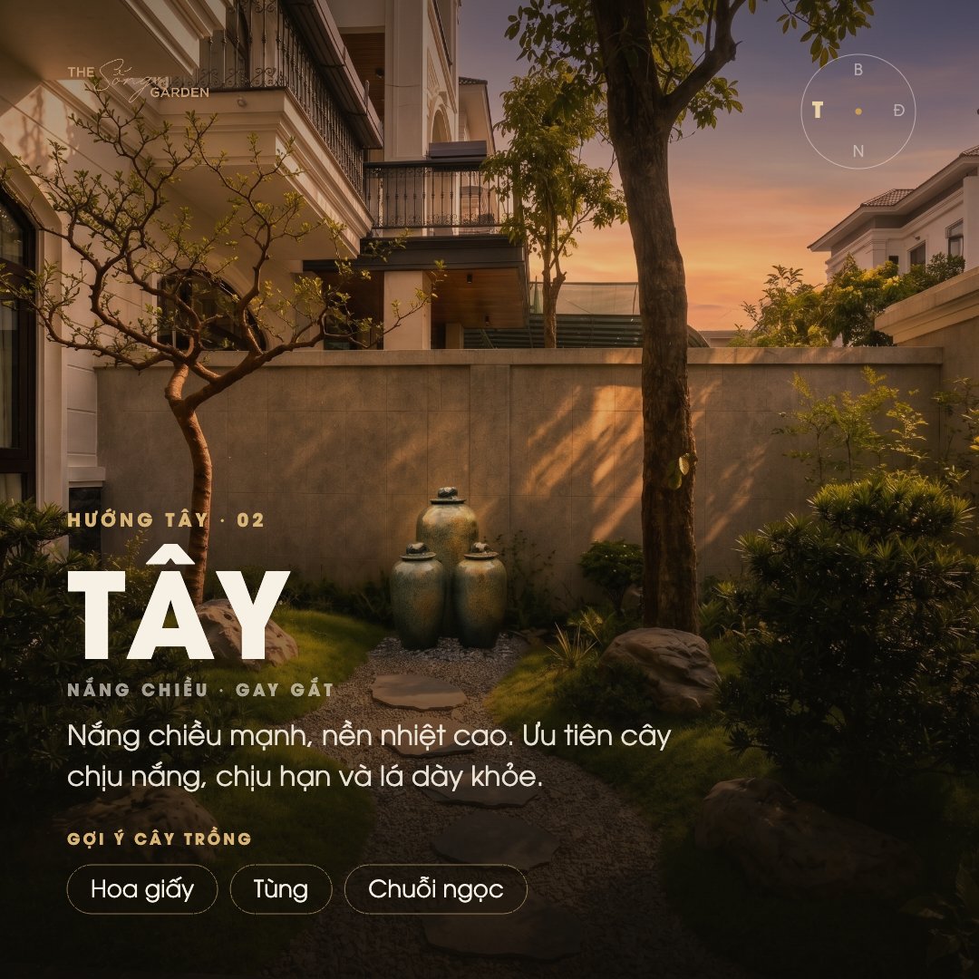 Cây cho hướng Tây